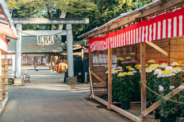  一言主神社（茨城県常総市）鳥居　菊まつり