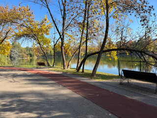 Lakeside Pathway with Benches in Autumn Park