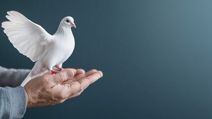 A white dove perches gracefully on a hand, surrounded by a soft gradient background, symbolizing peace and freedom.