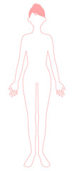 Fototapeta premium 女性 全身 線画