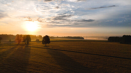 The dawn in the field, the sun's rays through the trees