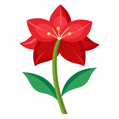 Amaryllis flower vector illustration on a white background