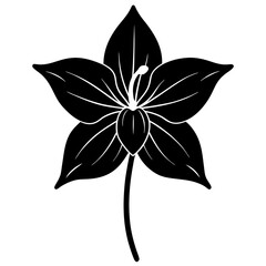 Trillium silhouette vector illustration