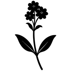 Verbena flower silhouette vector illustration