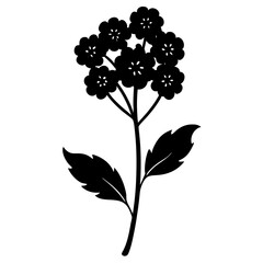 Verbena flower silhouette vector illustration