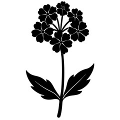 Verbena flower silhouette vector illustration