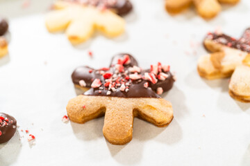 Making Star-Shaped Cookies with Chocolate and Peppermint Chips