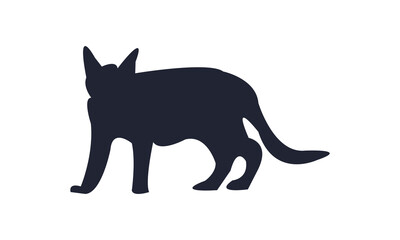 Cat Silhouette And Vector Design. 