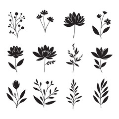 Silhouette set of flower on white background