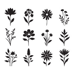 Silhouette set of flower on white background