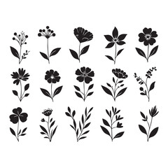 Silhouette set of flower on white background