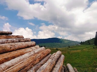catasta di tronchi con montagne sullo sfondo