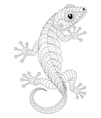 Vector illustration of black and white portrait image with lizard. Drawn in zentangle style for t-shirt design or tattoo. Anti-stress coloring page with wildlife.