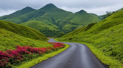 A highway curving through green hills, bordered by colorful spring flowers, clear sky and calm atmosphere, Nature-inspired, Photography  ,closes up