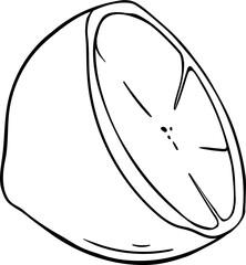 Cupuacu Fruit and Outline Illustration. Organic natural nutritional healthy food ingredient, vegetarian diet product.