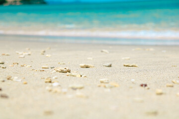 sand beach and sea