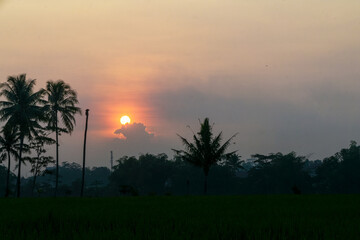 The beauty of the sunset