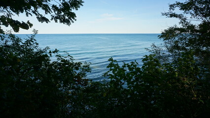 Peaceful Lake View Through Forested Frame