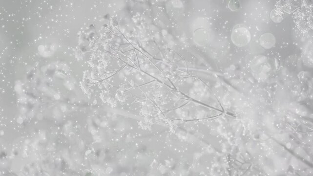桜の枝 春 パーティクルBG209_ 05
