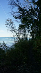 Peaceful Lake View Through Forested Frame