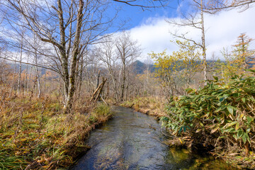 秋の上高地  日本 長野県