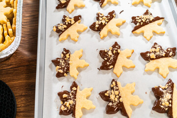 Making Cutout Sugar Cookies, Chocolate-Dipped, Hazelnut-Sprinkled