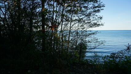 Obraz premium Peaceful Lake View Through Forested Frame