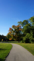 Autumn Trees Along a Park Path Under a Clear Blue Sky