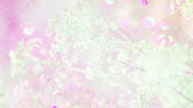 桜の枝 春 パーティクルBG209_ 03
