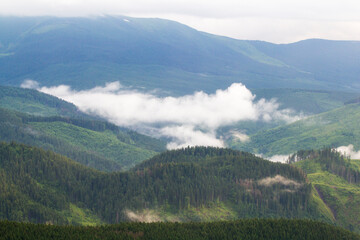Carpathians