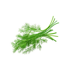 Fototapeta premium Fresh Green Dill Sprigs Isolated on White Background