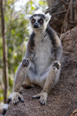 Anja Community Reserve