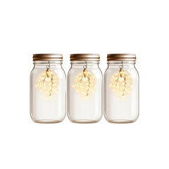 Three Glass Jars with Fairy Lights