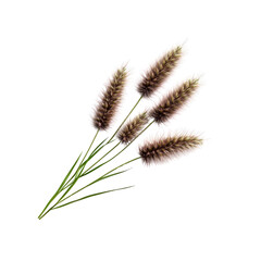 Fototapeta premium Closeup of Pink and Brown Grass Stalks