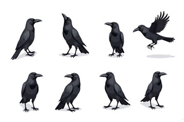 Fototapeta premium Six illustrations of ravens, white background, different poses