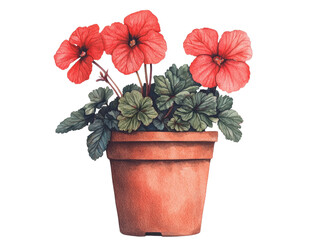 A vibrant illustration of red flowering plants in a terracotta pot, complemented by lush green leaves 