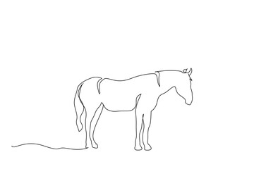 beautiful horse nature calm freedom one line art design vector