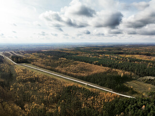 A quiet autumn road lined with trees, their leaves in shades of orange, red, and gold. © Arkadiusz