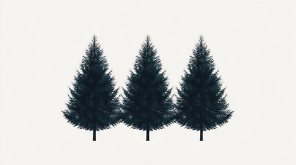 Three dark green fir trees on a white background.