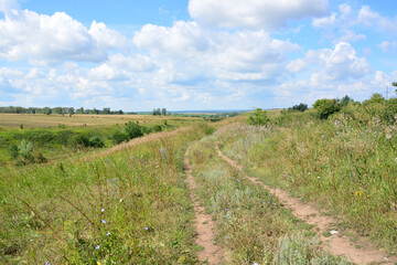 a path that leads to a valley with green field and blue sky with clouds 
