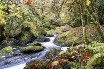 La forêt d'Huelgoat en automne, où la rivière d’Argent coule doucement entre les chaos granitiques et les feuilles qui arborent leurs plus belles teintes dorées.