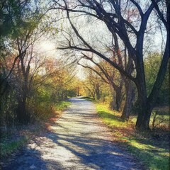 Naklejka premium Scenic path through a vibrant wooded area, illuminated by soft sunlight.