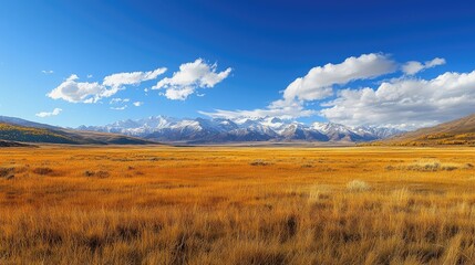 Obraz premium Stunning autumn landscape in the mountains, capturing a panoramic view of the mountain range, golden grass, and a blue sky dotted with clouds. Photo style allows for copy space.