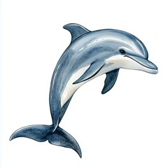 Whimsical watercolor cozy illustration of a playful dolphin jumping.