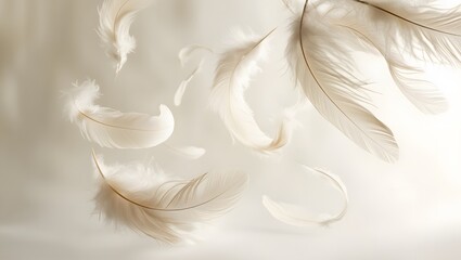 Fototapeta premium A bunch of soft, fluffy white feathers gently floating in mid-air