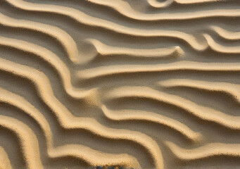 texture of beach sand