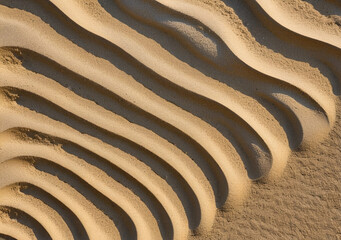 texture of beach sand