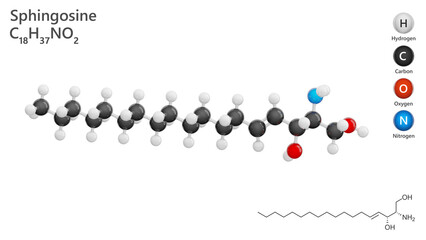 Molecule: Sphingosine. Amino alcohol. Molecular structure. Formula: C18H37NO2. Chemical model: Ball and stick. White background. 3D illustration.