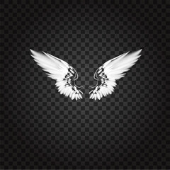 vector illustration of glowing wings