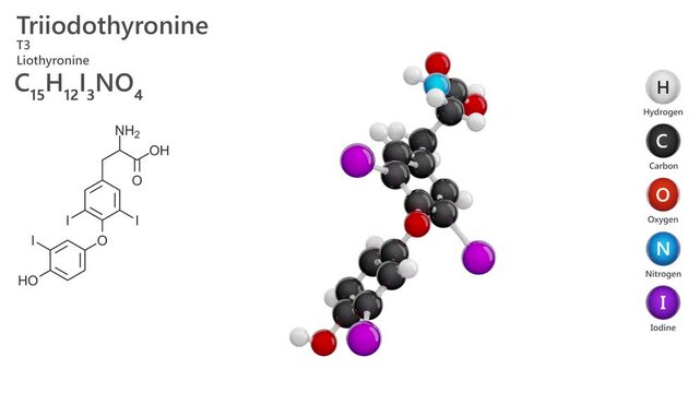 Triiodothyronine or T3. Thyroid hormone. Animated 3D model of a molecule. Molecular formula: C15H12I3NO4. Chemical model: Ball and stick. White background. 3D rendering. Seamless loop.